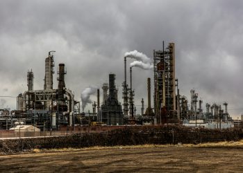 Photo by Patrick Hendry on Unsplash